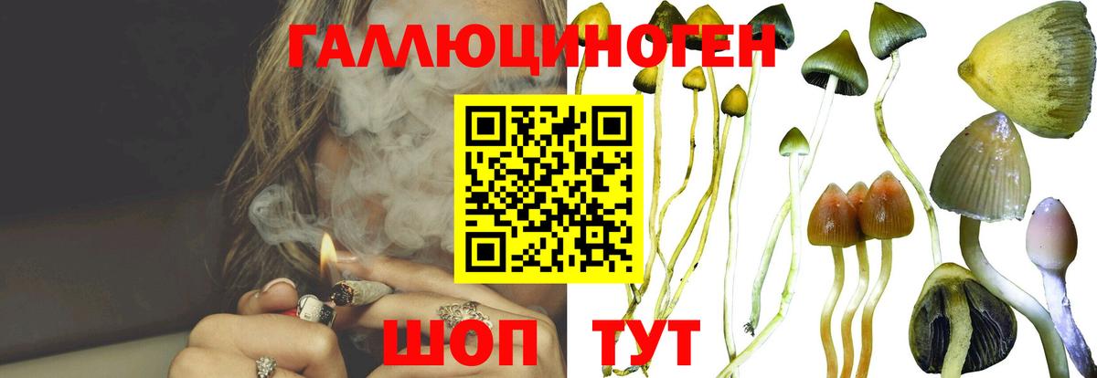 Славянск-на-Кубани  Галлюциногенные грибы MAGIC MUSHROOMS  Псилоцибиновые грибы MAGIC MUSHROOMS  Вход с VPN 