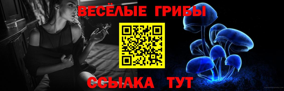 Псилоцибиновые грибы ЛСД Славянск-на-Кубани